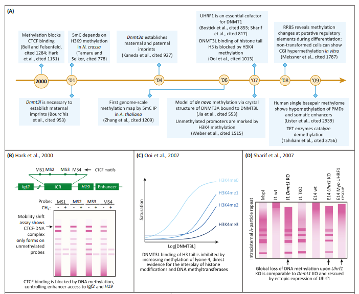متیلاسون DNA