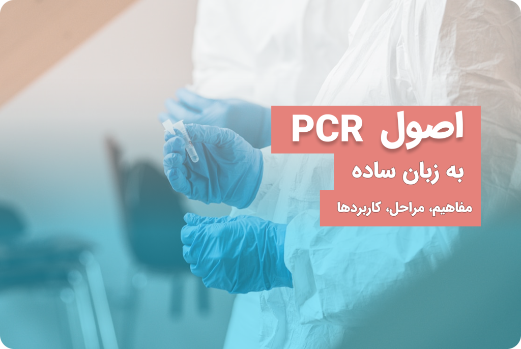 اصول PCR به زبان ساده​، آموزش پی سی ار pcr