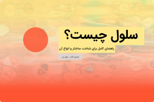 سلول چیست؟