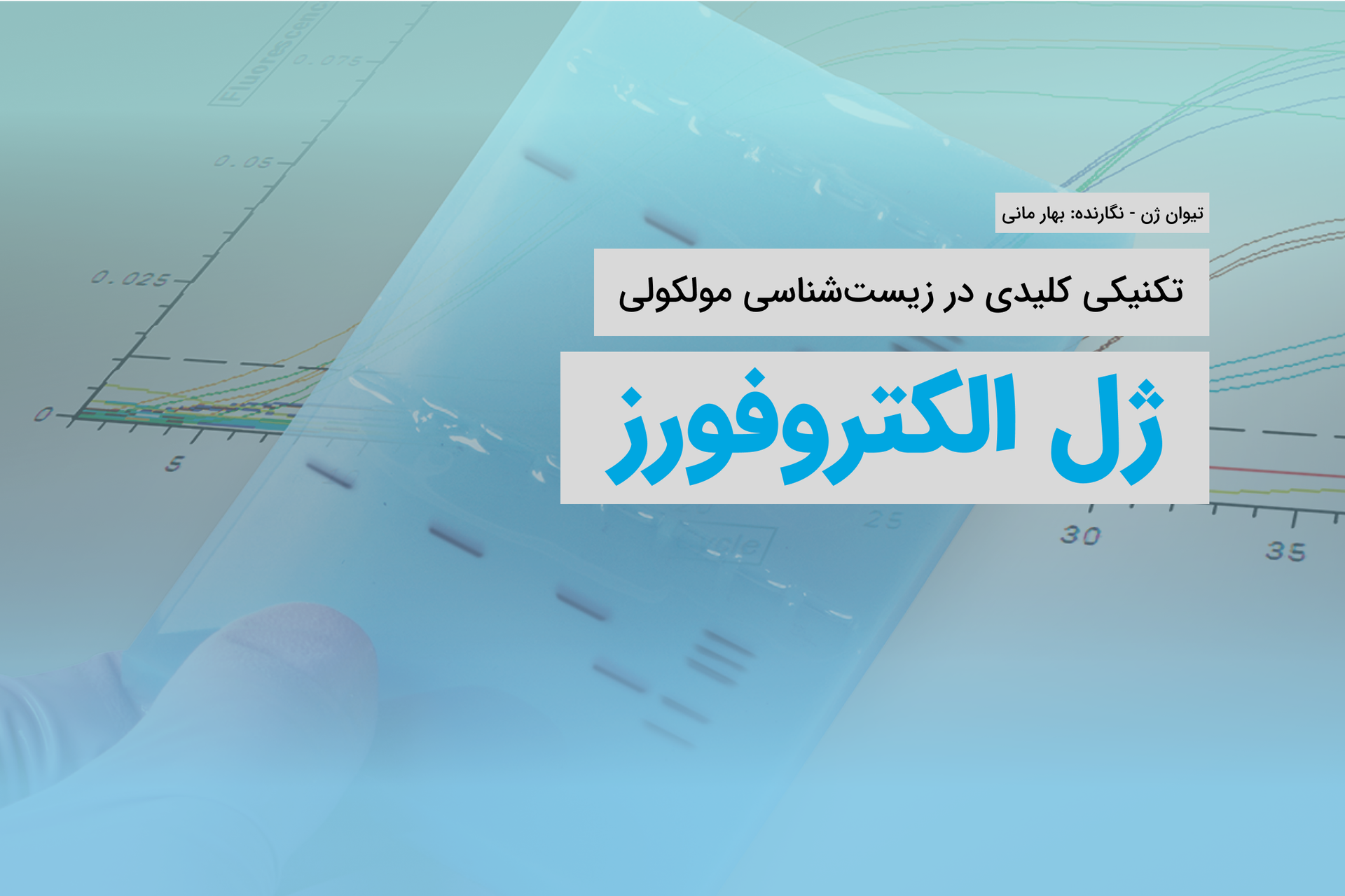 تصویر ژل الکتروفورز در حال جداسازی DNA تیوان ژن