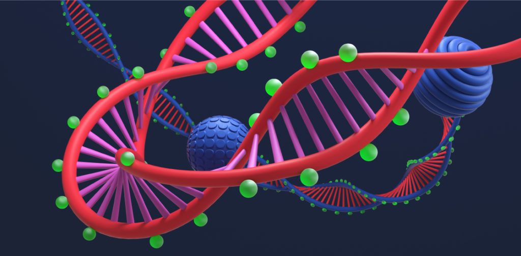 متیلاسون DNA