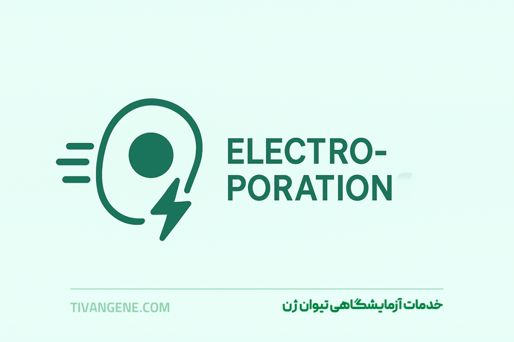 خدمات آزمایشگاهی الکتروپوریشن (Electroporation) نیوان ژن