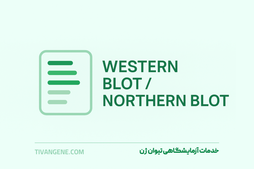 خدمات آزمایشگاهی Western Blot / Northern Blot وسترن بلات نیوان ژن