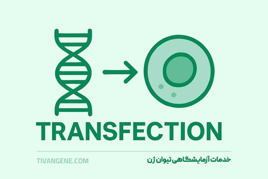 خدمات آزمایشگاهی ترنسفکشن ترانسفکشن transfection نیوان ژن