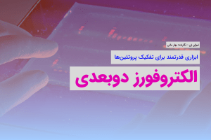 الکتروفورز دوبعدی: ابزاری قدرتمند برای تفکیک پروتئین‌ها تیوان ژن