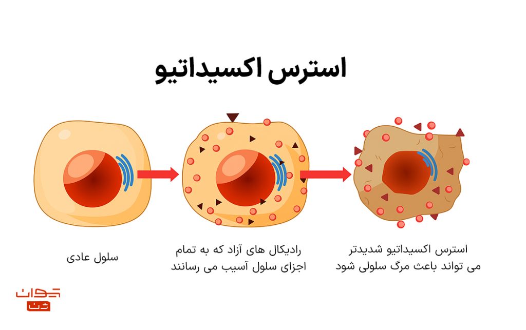استرس_اکسیداتیو