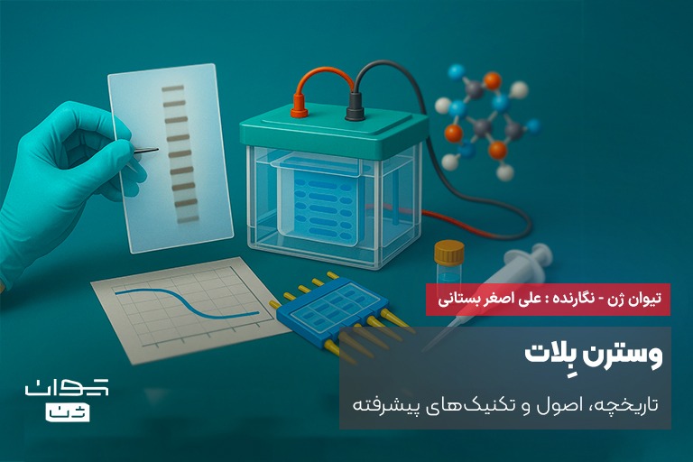 وسترن بلات