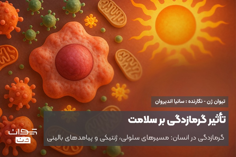 تاثیر گرمازدگی بر سلامت