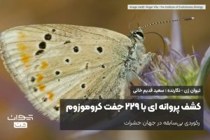 کشف پروانه ای با 229 جفت کروموزوم