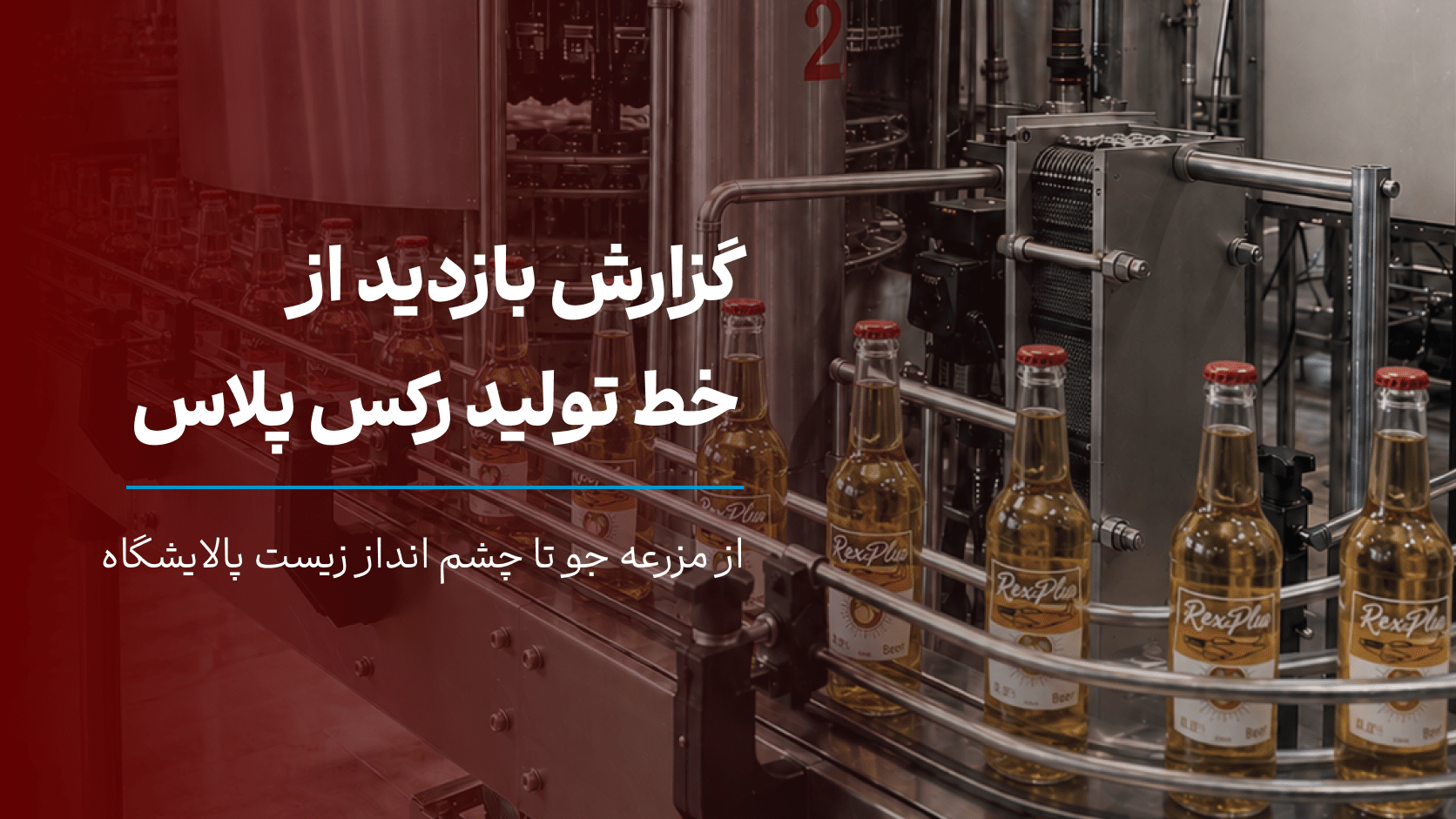 گزارش بازدید از خط تولید رکس پلاس؛ از مزرعه جو تا چشم‌انداز زیست‌پالایشگاه