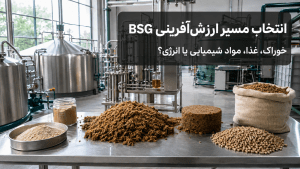 انتخاب مسیر ارزشآفرینی تفاله مالت BSG میان خوراک، غذا، مواد شیمیایی و انرژی