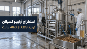 خط پایلوت استخراج آرابینوکسیلان و تولید XOS از تفاله مالت